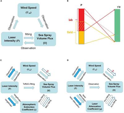 Estimating sea spray volume flux with a laser gauge in a self-consistent system